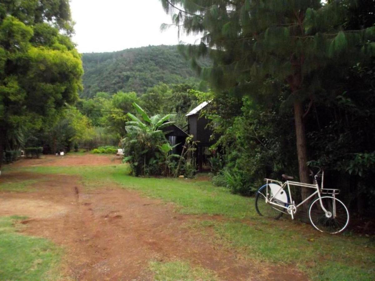 Hostel Sabie Gypsy'S Backpackers Exteriér fotografie